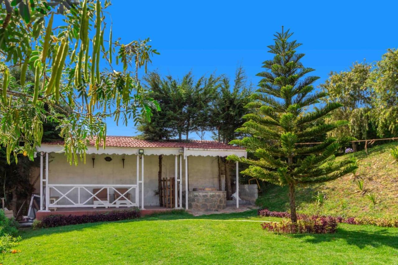 Pine View Stay Ooty Ngoại thất bức ảnh